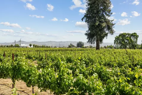 Other - 4076 Howard Ln, Napa, CA 94558 photo 4 of 15