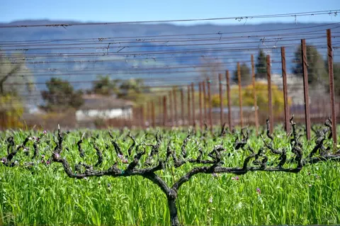 View/Area - 4076 Howard Ln, Napa, CA 94558 photo 13 of 16