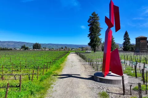 View/Area - 4076 Howard Ln, Napa, CA 94558 photo 8 of 16