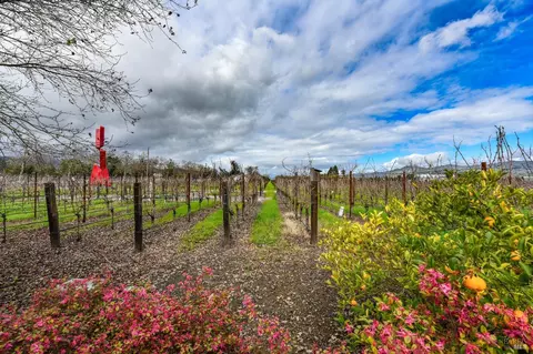 Exterior - 4076 Howard Ln, Napa, CA 94558 photo 7 of 14