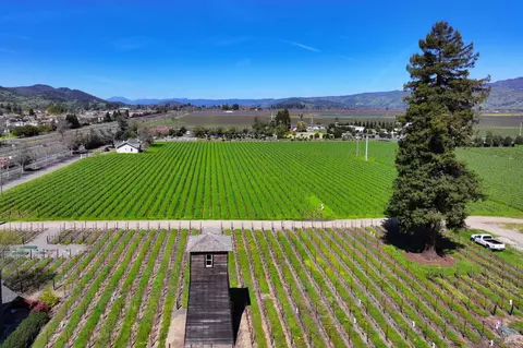 Exterior - 4076 Howard Ln, Napa, CA 94558 photo 5 of 14