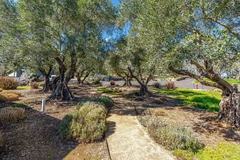 View/Area - 2225 1st Ave, Napa, CA 94558 photo 3 of 7