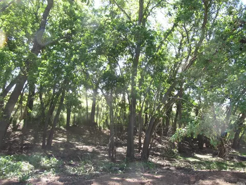 8757 Winters Rd, Winters, CA 95694 photo 13