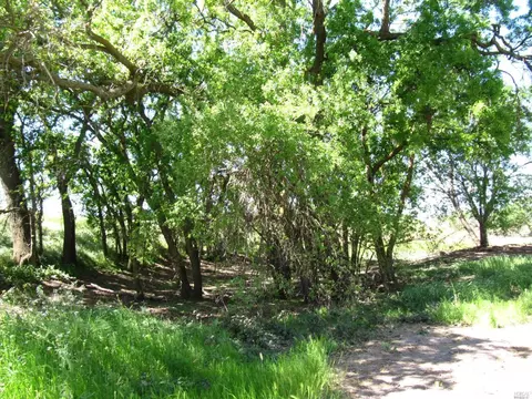 8757 Winters Rd, Winters, CA 95694 photo 6