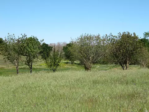 8757 Winters Rd, Winters, CA 95694 photo 11