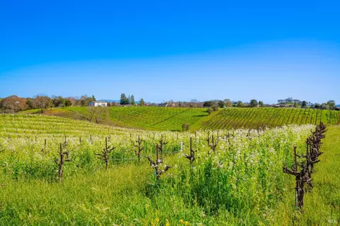 1086 Limerick Ln, Healdsburg, CA 95448 photo 22