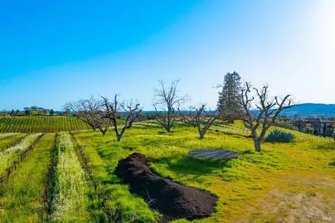 1086 Limerick Ln, Healdsburg, CA 95448 photo 18
