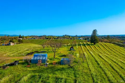 1086 Limerick Ln, Healdsburg, CA 95448 photo 10