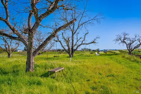 1086 Limerick Ln, Healdsburg, CA 95448 photo 13