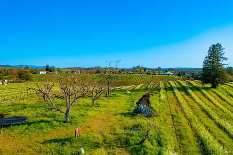 1086 Limerick Ln, Healdsburg, CA 95448 photo 16