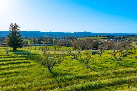 1086 Limerick Ln, Healdsburg, CA 95448 photo 19