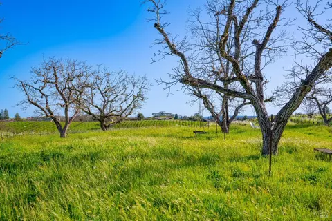 1086 Limerick Ln, Healdsburg, CA 95448 photo 12