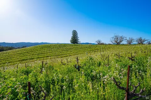 1086 Limerick Ln, Healdsburg, CA 95448 photo 26