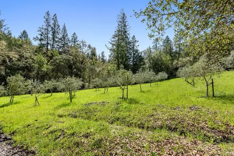 View/Area - 3500 Bones Rd, Sebastopol, CA 95472 photo 3 of 15