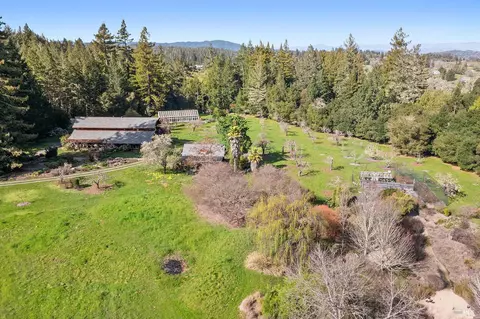 View/Area - 3500 Bones Rd, Sebastopol, CA 95472 photo 10 of 15