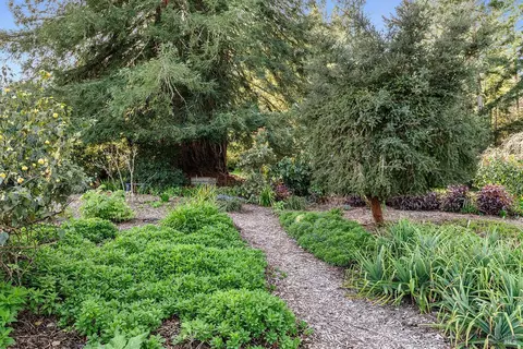 Exterior - 3500 Bones Rd, Sebastopol, CA 95472 photo 18 of 27