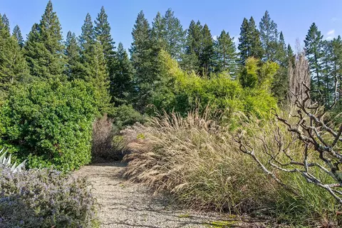Exterior - 3500 Bones Rd, Sebastopol, CA 95472 photo 13 of 27