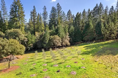 View/Area - 3500 Bones Rd, Sebastopol, CA 95472 photo 9 of 15