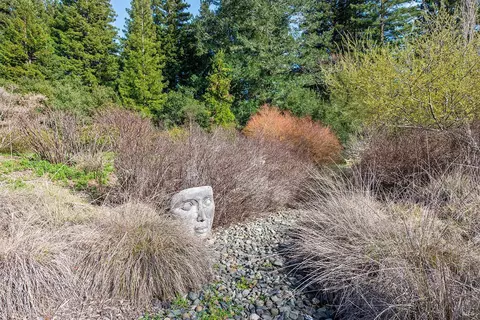 View/Area - 3500 Bones Rd, Sebastopol, CA 95472 photo 2 of 15