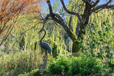 Exterior - 3500 Bones Rd, Sebastopol, CA 95472 photo 19 of 27