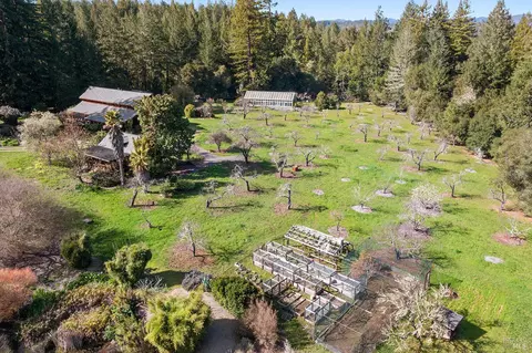 View/Area - 3500 Bones Rd, Sebastopol, CA 95472 photo 11 of 15