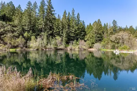 View/Area - 3500 Bones Rd, Sebastopol, CA 95472 photo 7 of 15