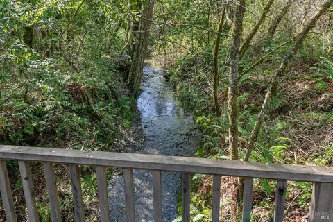Other - 3500 Bones Rd, Sebastopol, CA 95472 photo 6 of 6