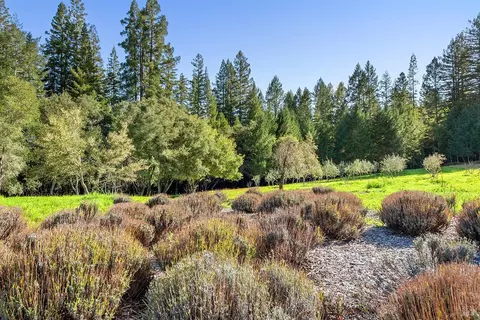 Exterior - 3500 Bones Rd, Sebastopol, CA 95472 photo 16 of 27
