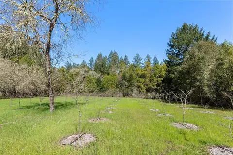 Exterior - 3500 Bones Rd, Sebastopol, CA 95472 photo 20 of 27