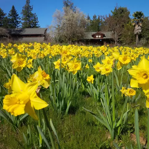 Other - 3500 Bones Rd, Sebastopol, CA 95472 photo 5 of 6