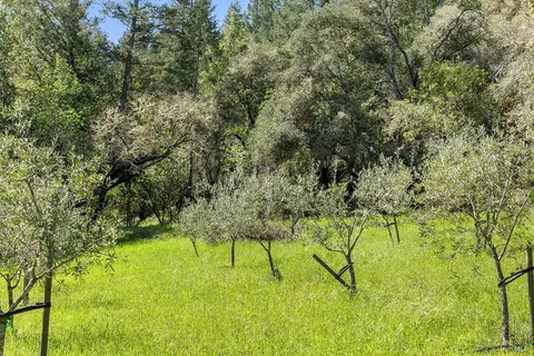 View/Area - 3500 Bones Rd, Sebastopol, CA 95472 photo 4 of 15