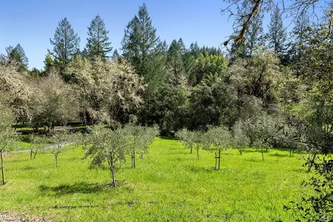 View/Area - 3500 Bones Rd, Sebastopol, CA 95472 photo 5 of 15