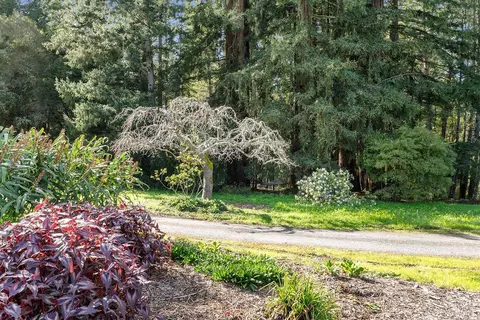 Exterior - 3500 Bones Rd, Sebastopol, CA 95472 photo 17 of 27
