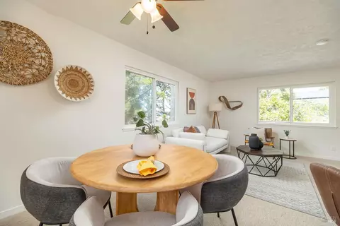 245 Balclutha Dr, Corte Madera, CA 94925 photo 35
