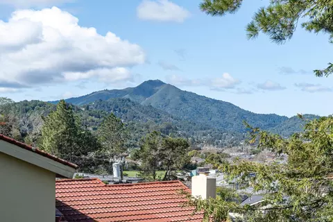 245 Balclutha Dr, Corte Madera, CA 94925 photo 18