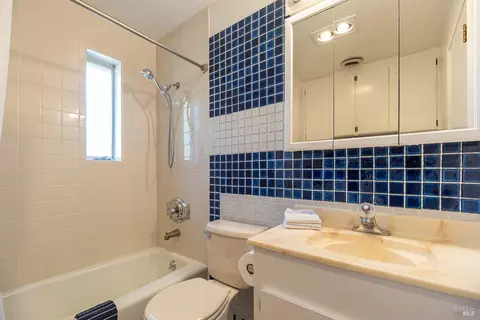 245 Balclutha Dr, Corte Madera, CA 94925 photo 39