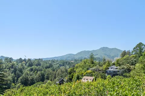 Other - 15 Stetson Ave, Mill Valley, CA 94941 photo 7 of 18