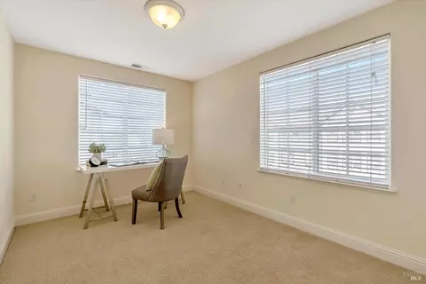 454 Emily Rose Cir, Windsor, CA 95492 photo 23