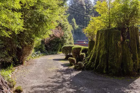 1325 Austin Creek Rd, Cazadero, CA 95421