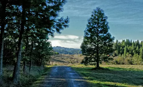 28751 Skyview Rd, Willits, CA 95490 photo 48
