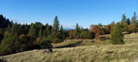 28751 Skyview Rd, Willits, CA 95490 photo 54