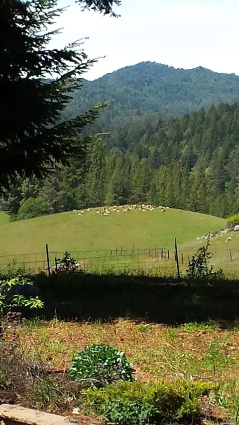 28751 Skyview Rd, Willits, CA 95490 photo 66
