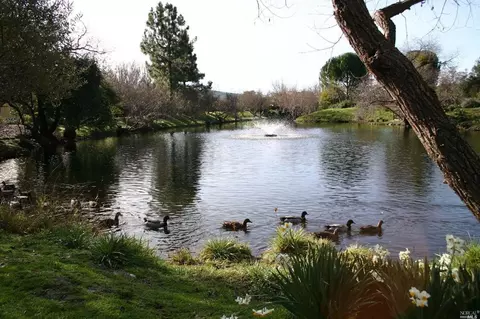75 Temelec Cir, Sonoma, CA 95476 photo 24