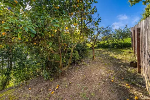 Exterior - 489 Brooke Dr, Vallejo, CA 94591 photo 10 of 15