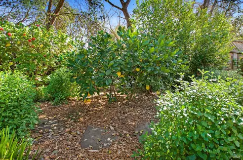 570 Este Madera Dr, Sonoma, CA 95476 photo 40