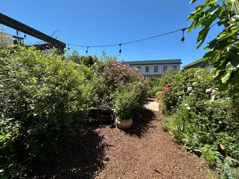 2280 Pine St, Napa, CA 94559 photo 31