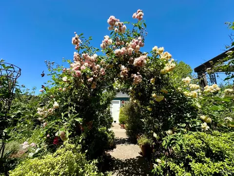 2280 Pine St, Napa, CA 94559 photo 35