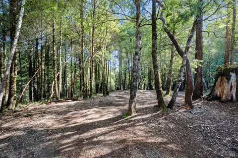 View/Area - 24228 Lilac Rd, Willits, CA 95490 photo 1 of 1