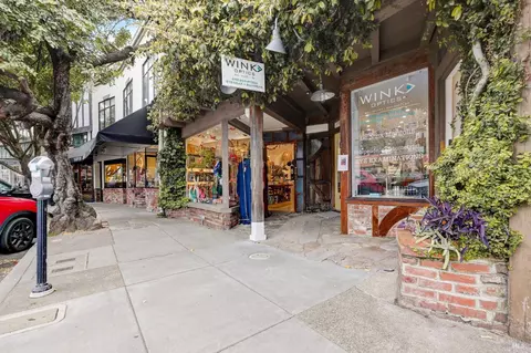 View/Area - 93 Lovell Ave, Mill Valley, CA 94941 photo 3 of 6