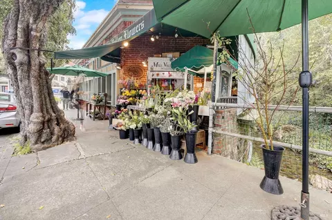 Exterior - 93 Lovell Ave, Mill Valley, CA 94941 photo 25 of 27